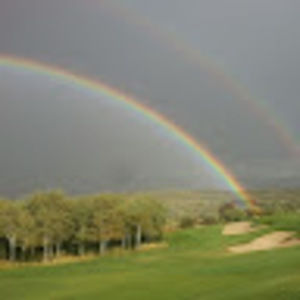 Meet your Posher, Gail